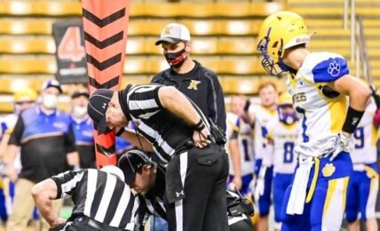 Officials often are underpaid, underappreciated and in high demand
