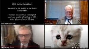 Zoom filters gone wrong: Lawyer tells judge 'I'm not a cat' during kitten filter mishap