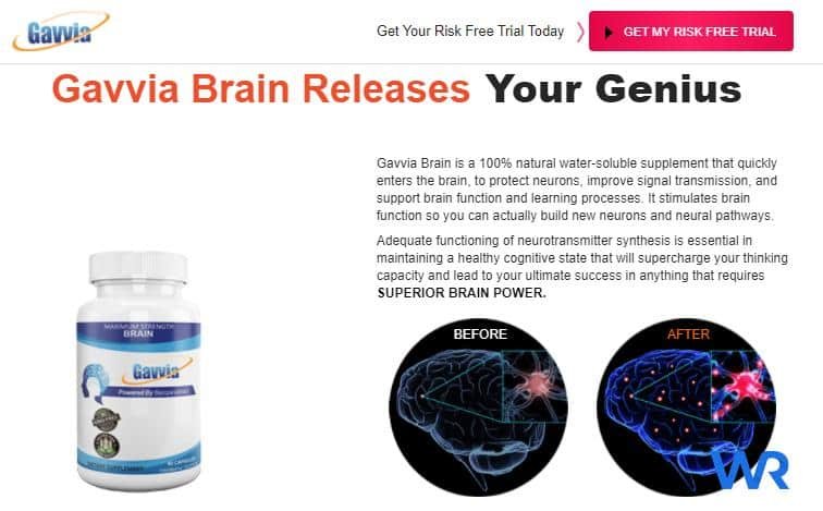 Gavvia Brain