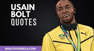 bolt quote