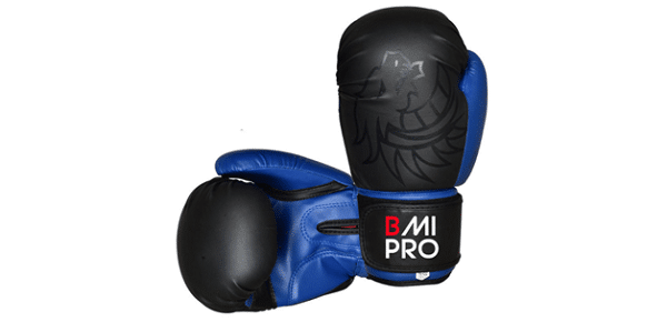 6-BMI Dragon PRO TZ97 Boxing Gloves