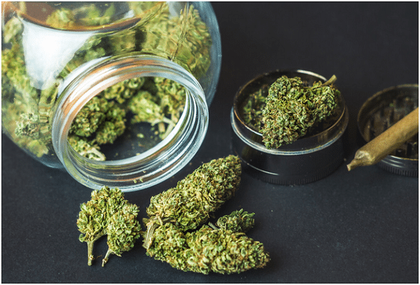 The Health Benefits of Cannabis: CBD Flower Buds