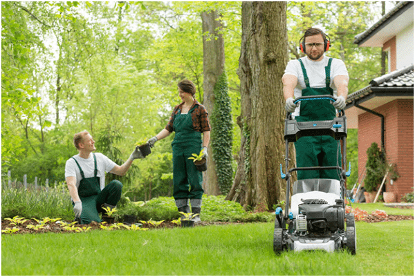 Lawn Care in winters