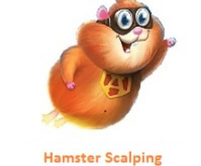 Hamster Scalping EA