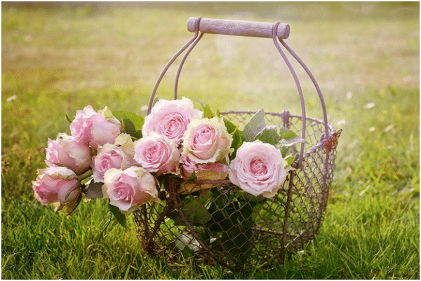 Right Flowers for Any Occasion