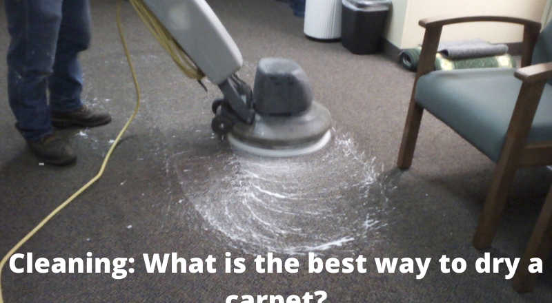 What is the Best Way to Dry a Carpet?