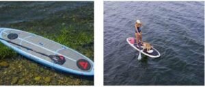 sherwind paddle board