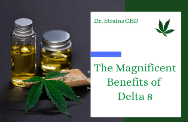 The magnificent benefits of Delta 8!