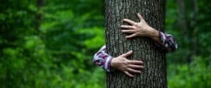 woman hand embracing a tree in green forest - nature loving, fig
