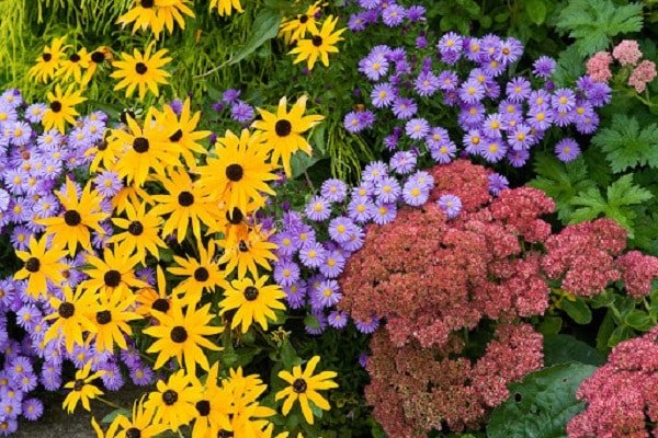 A Colorful Fall Garden