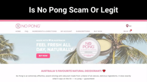 No Pong Scam