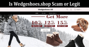 Wedgeshoes Review