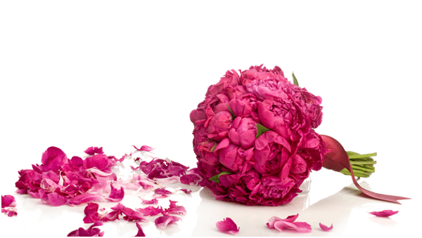 Peony