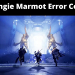 Bungie Marmot Error Code {2022} Read Steps To Resolve!
