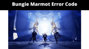 Bungie Marmot Error Code