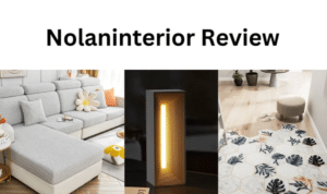 Nolaninterior-Review