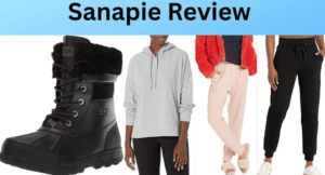 Sanapie Com Review