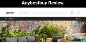 Anybestbuy Review