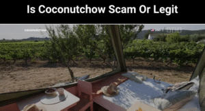 Coconutchow Review