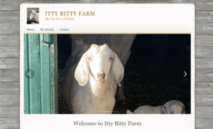 Ittybittygoatfarm com Review