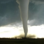 Tornado Strikes Punjab Village, Rips Off Roofs, Damages Crops : Know About The Video!