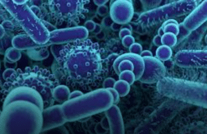 Virus vs. Bacterial Infectio