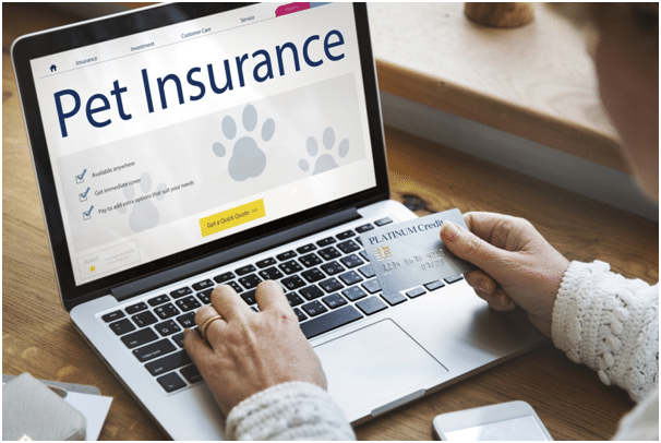 Pet Insurance