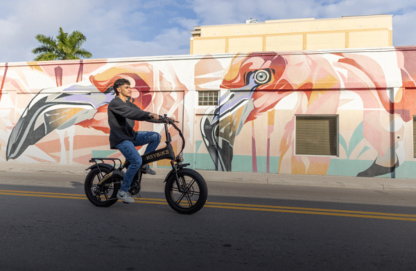 Redefining the Concept of E-bike Riding : Know All The Details Hear-