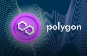 Unlocking the Potential of the Polygon Network