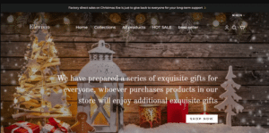 Elevisio Shop Review