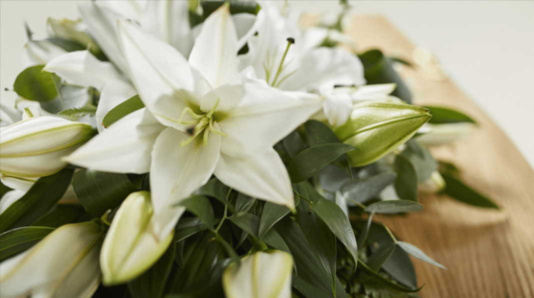 Adina Speedone Death