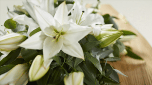 Bill Johnson Death