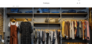 Probityes Review